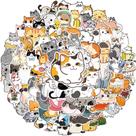 Pacote de adesivos Diuyose Cat em vinil impermeável para garrafa de água Pacote de adesivos Diuyose Cat em vinil impermeável para garrafa de água