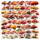 Pacote de adesivos em aquarela, cogumelo, 50 unidades, plantas artísticas, vinho Pacote de adesivos em aquarela, cogumelo, 50 unidades, plantas artísticas, vinho