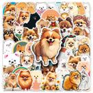 Pacote de adesivos, fofo, vinil impermeável para cães da Pomerânia, 50 unidades
