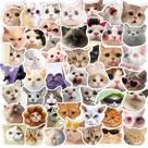 Pacote de adesivos Funny Cat Meme Face, 50 unidades de vinil impermeável