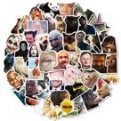 Pacote de adesivos Funny Meme, 50 unidades Creative Animal & Human Exp