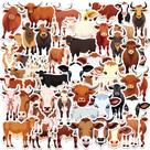 Pacote de adesivos Highland Cow and Yak 52 unidades - 3-6 cm - PVC