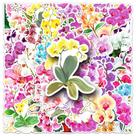 Pacote de adesivos Orchid Phalaenopsis Floral Design, 50 unidades