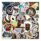 Pacote de adesivos Owl Cartoon Animal, decalques de vinil x50