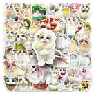 Pacote de adesivos Ragdoll Cat Theme, 50 unidades de vinil impermeável