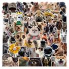 Pacote de adesivos Realistic Dog & Animal PET Style x50