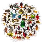 Pacote de adesivos Realistic Insect, 50 unidades de anime de vinil impermeável Pacote de adesivos Realistic Insect, 50 unidades de anime de vinil impermeável