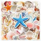 Pacote de adesivos Seashell Ocean Starfish Coral and Pear 50 unidades Pacote de adesivos Seashell Ocean Starfish Coral and Pear 50 unidades