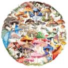 Pacote de adesivos Transparent Mushroom, 50 unidades de desenhos animados coloridos Pacote de adesivos Transparent Mushroom, 50 unidades de desenhos animados coloridos