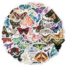 Pacote de adesivos Vintage Butterfly, 50 peças de vinil impermeável