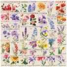 Pacote de adesivos Vintage Flower, 50 unidades, estilo de selo postal retrô