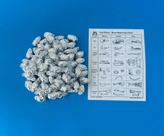 Pacote de pellets de coruja Oregon Owl Pellets 100 pequenos com gráfico ósseo