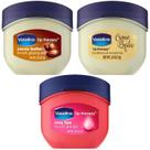 Pacote de terapia labial Creme de vaselina Brulee Rosy Lips, manteiga de cacau Pacote de terapia labial Creme de vaselina Brulee Rosy Lips, manteiga de cacau