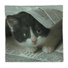 Pacote Guardanapo Decoupage Folha Tripla 33x33 PAPER+DESIGN
