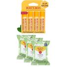 Pacote: protetor labial de cera de abelha original Burt's Bees, 4 tubos e toalhetes faciais de aloe vera, 30 quilates (pacote com 3)