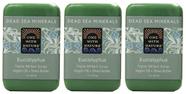 Pacote Soap One With Nature Eucalyptus de 3 200 mL com óleo de argan