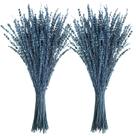 Pacotes de conservas de flores secas de lavanda Uieke 100g