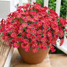 Pacotes de flores artificiais INSPRING Daisy 6 para atividades ao ar livre