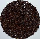 Painço Preto - 1 Kg