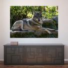 Painel Adesivo de Parede - Lobo - Animais - 1744pnp