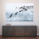 Painel Adesivo de Parede - Pinguim - Animais - 1740pnp