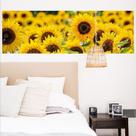 Painel Adesivo Girassol
