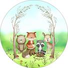Painel De Festa Redondo 1,50x1,50 - Bosque dos Animais 025