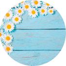 Painel De Festa Redondo 1,50x1,50 - Flores Margarida Efeito Madeira Azul 020 Painel De Festa Redondo 1,50x1,50 - Flores Margarida Efeito Madeira Azul 020