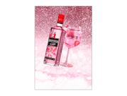 Painel De Festa Vertical 1,50 x 2,20 - Boteco Gin Pink 004 Painel De Festa Vertical 1,50 x 2,20 - Boteco Gin Pink 004
