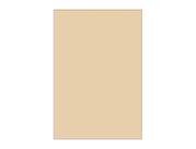 Painel De Festa Vertical 1,50 x 2,20 - Cor Liso Bege 085