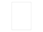 Painel De Festa Vertical 1,50 x 2,20 - Cores Liso Branco 031