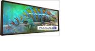 Painel de led outdoor p5 2x1 alta qualidade