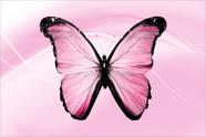 Painel de Lona Borboleta Fundo Rosa