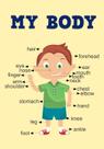 Painel De Lona Escolar Educativo My Body Boy -100x070cm Painel De Lona Escolar Educativo My Body Boy -100x070cm