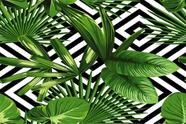 Painel de Lona Folhas Da Praia Tropical Fundo Formas