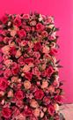 Painel de rosas artificial 60x40 cm Painel de rosas artificial 60x40 cm