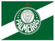 Painel festa PALMEIRAS decoração aniversário TNT 1,40m