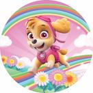 Painel Festa Redondo Patrulha Canina 3d Sublimado 1,50 Diam.