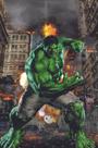 Painel Festa Retangular P/ Casado 1,5x2,2m Hulk 2