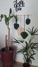 painel folhas verdes