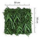 Painel Jardim Vertical Natural Preservado 50x50 Variação