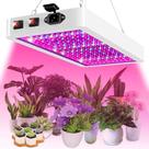 Painel Led Full Spectrum 5000w 312 Leds Cultivo Grow