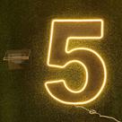 Painel Led Neon - Nº 5 - 1 unidade - Rizzo Painel Led Neon - Nº 5 - 1 unidade - Rizzo