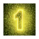Painel Led Neon Número 1 Decoração Festa Iluminação 50cm