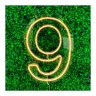 Painel Led Neon Número Luminoso 0 ao 9 Decoração Festa 60cm