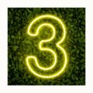 Painel Led Neon Número Luminoso 3 Três 60cm Decoração Festa