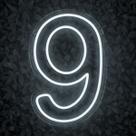 Painel Led Neon Número Luminoso 9 Nove 60cm Decoração Festa