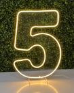 Painel Led Neon Números 0 A 9 Festas e Eventos 50cm Altura