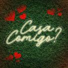 Painel Neon Casa Comigo Casamento Instagramável Festa