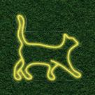 Painel Neon Led Cat Gato Decoração Pet Shop Amante de Animal